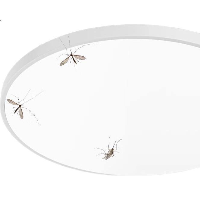 White Image 2