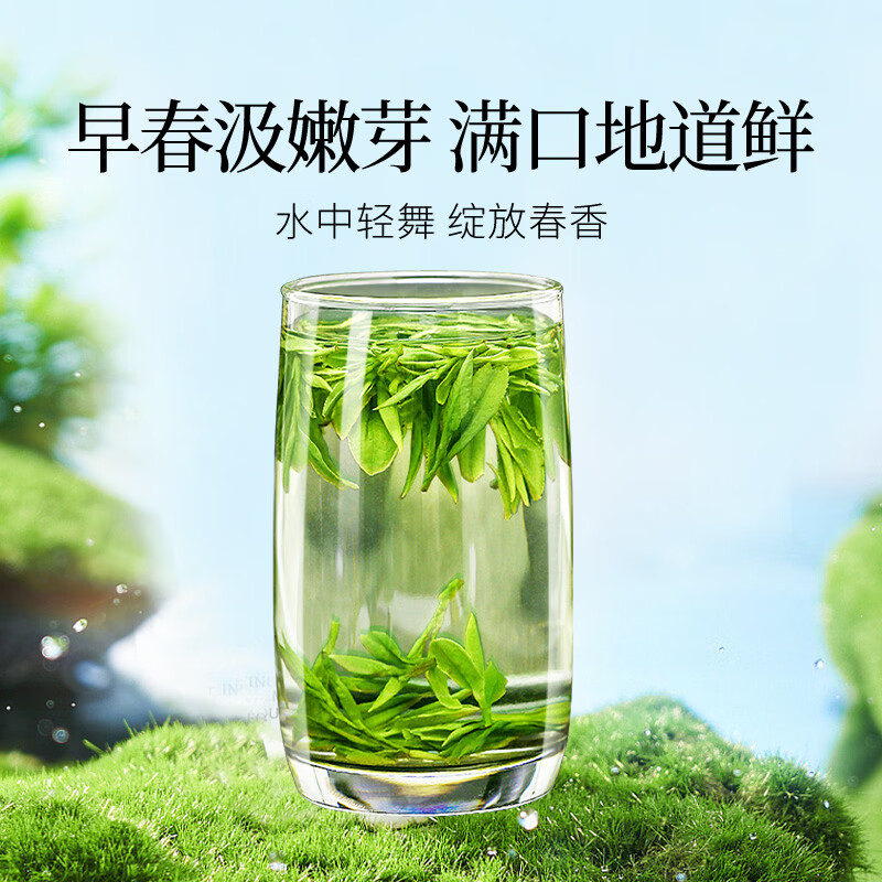 贡苑绿茶正宗龙井茶 豆香250g新茶明前春茶嫩芽散装茶叶自己喝