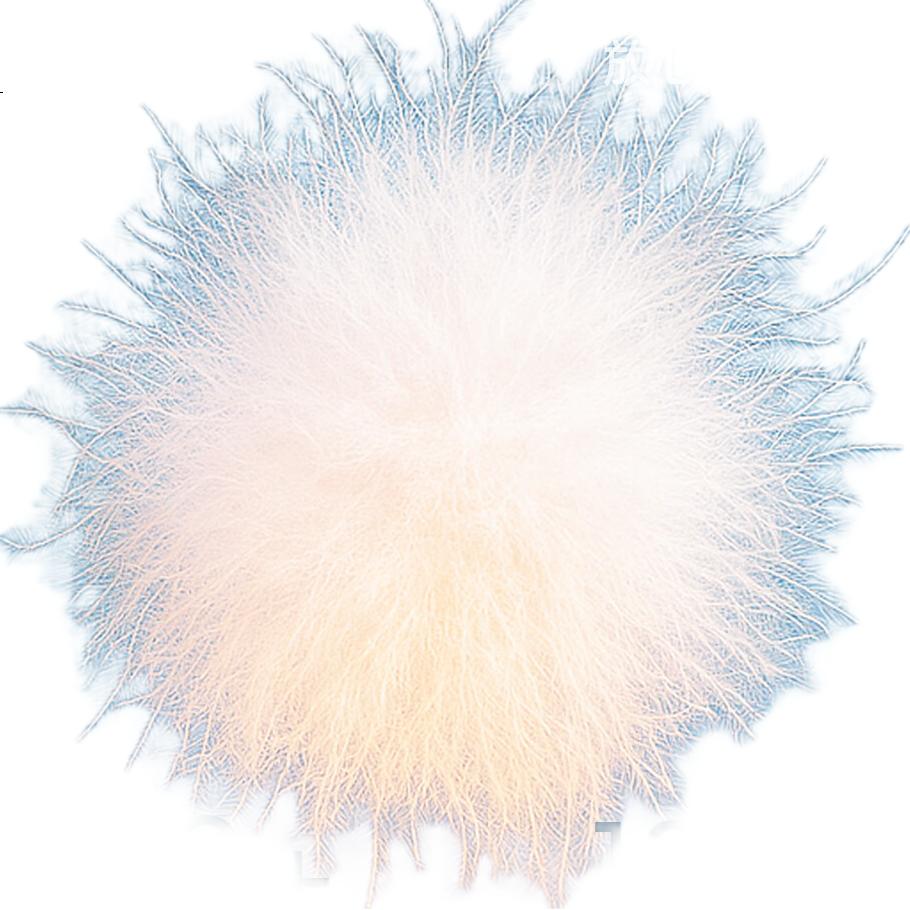 White Image 3