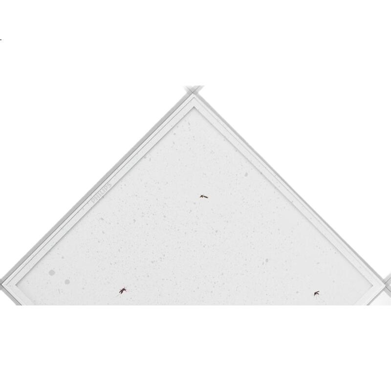 White Image 3