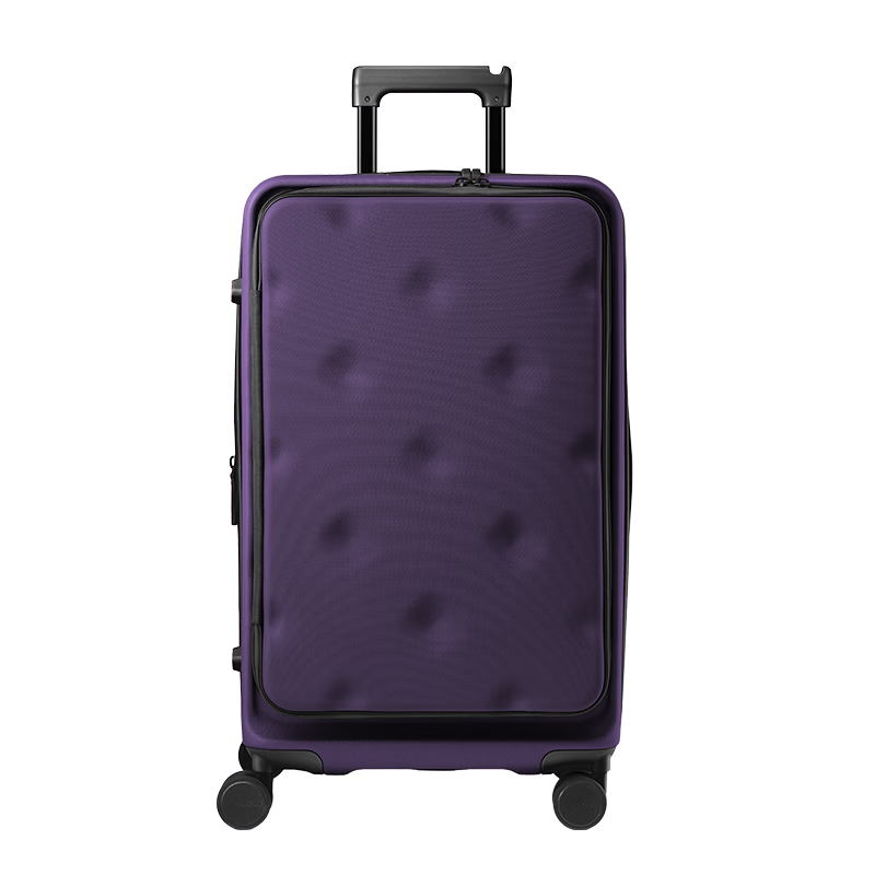 Bromen Bags Large Capacity Suitcase with Side Opening Lid, Trolley Case, Travel Luggage, Password Lock, 24 Inches, Plum Purple Color