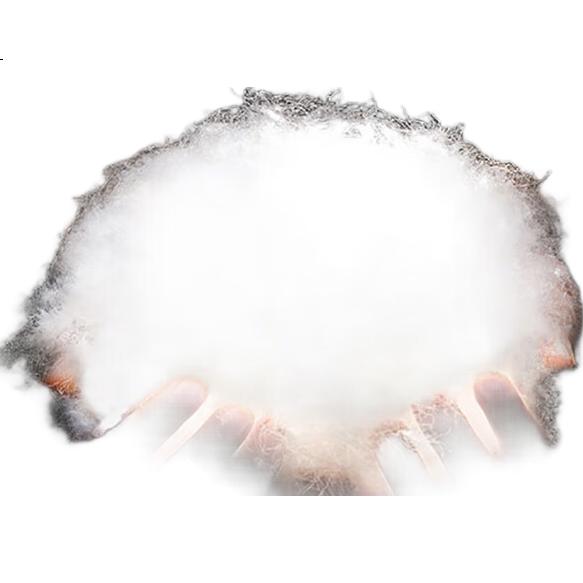 White Image 1