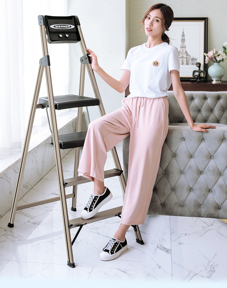 Werner Folding Ladder, Household Aluminum Alloy Step Stool, A-Frame Ladder, Indoor Stairs, 1.6 Meters, 234T-3CN 3
