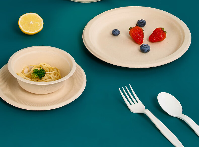 LANZIRAN Disposable Tableware Plates Large Size 9 Inch * 20 Pieces Natural Color Sugarcane Pulp Biodegradable Paper Plates for Picnic And Camping 2
