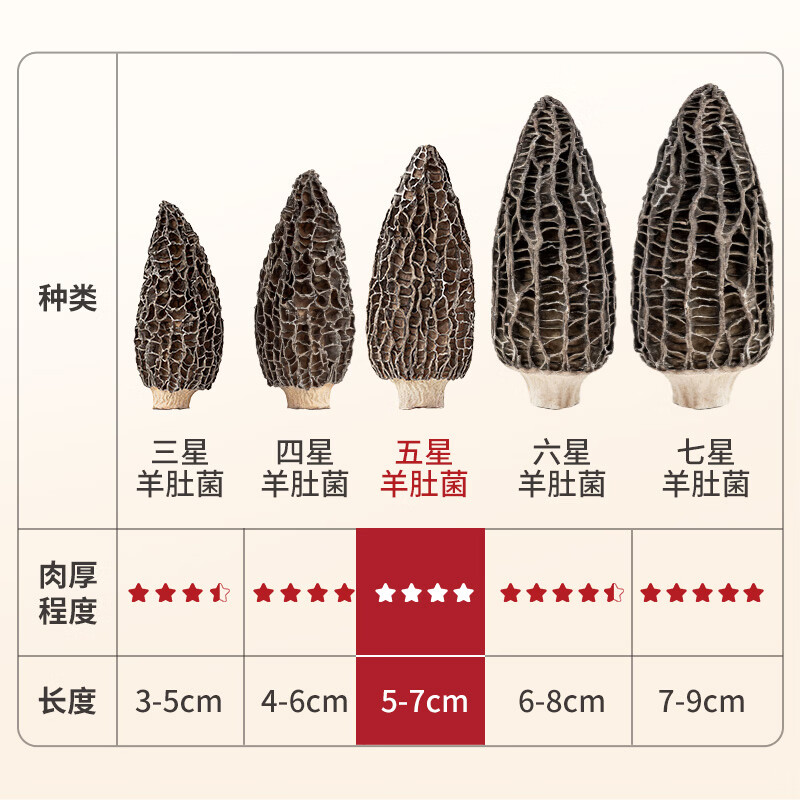 方家铺子 中华老字号 云南羊肚菌50g（5-7cm） 肉厚山珍菌菇 煲汤火锅食材