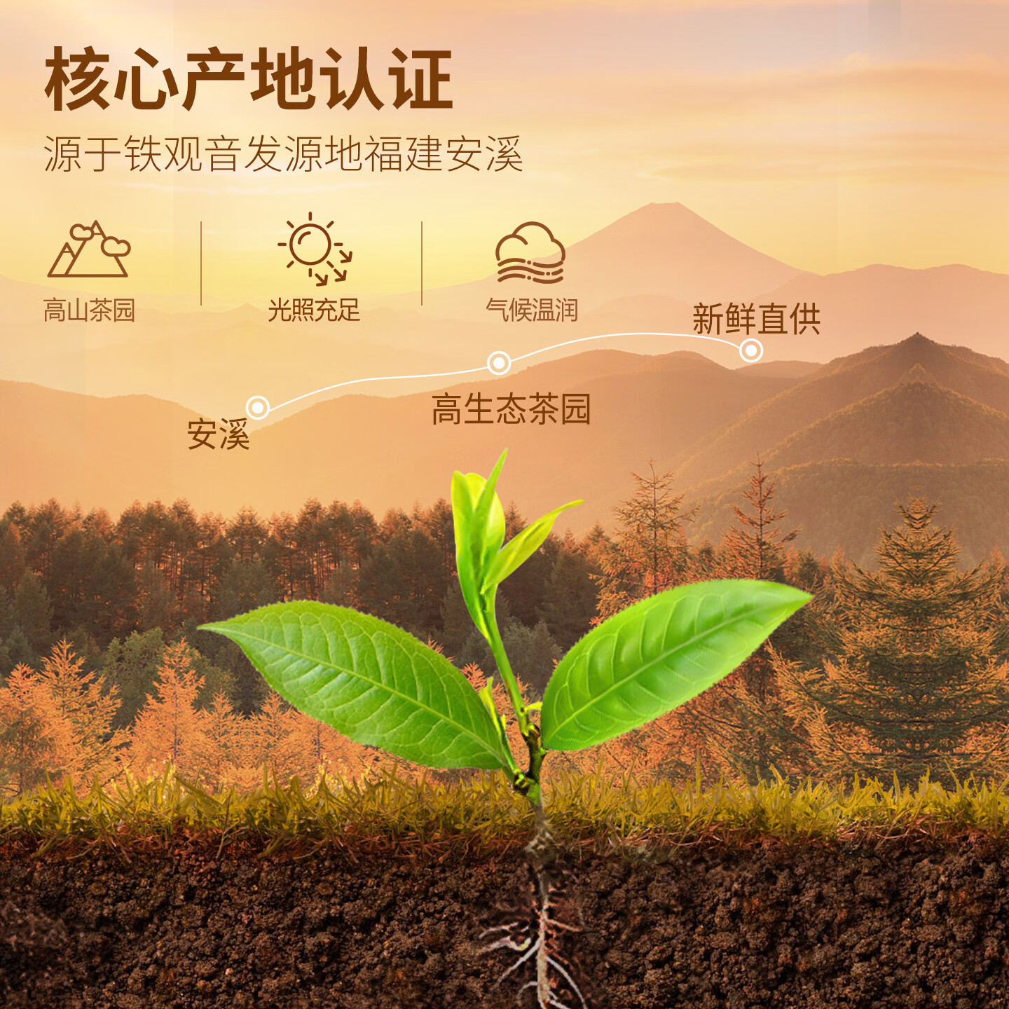 忆江南特级铁观音茶叶礼盒500g节日送礼送父母长辈的礼物新天尊