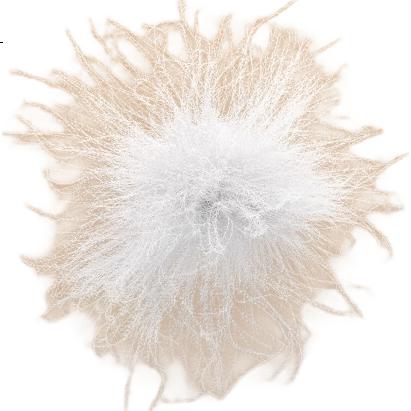 White Image 3