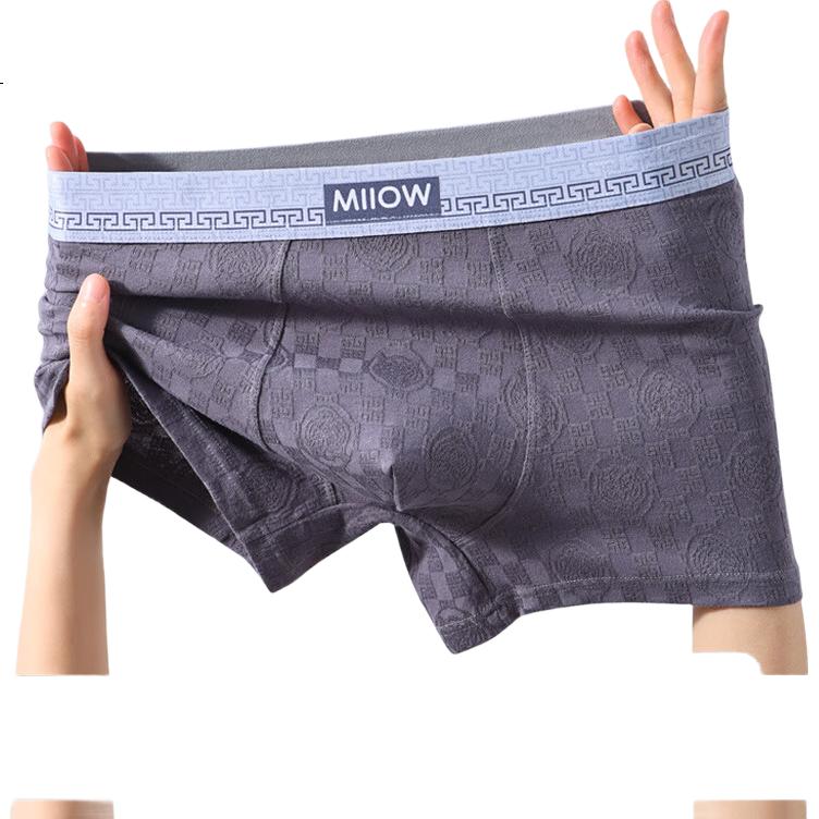 Мужские трусы MiiOW