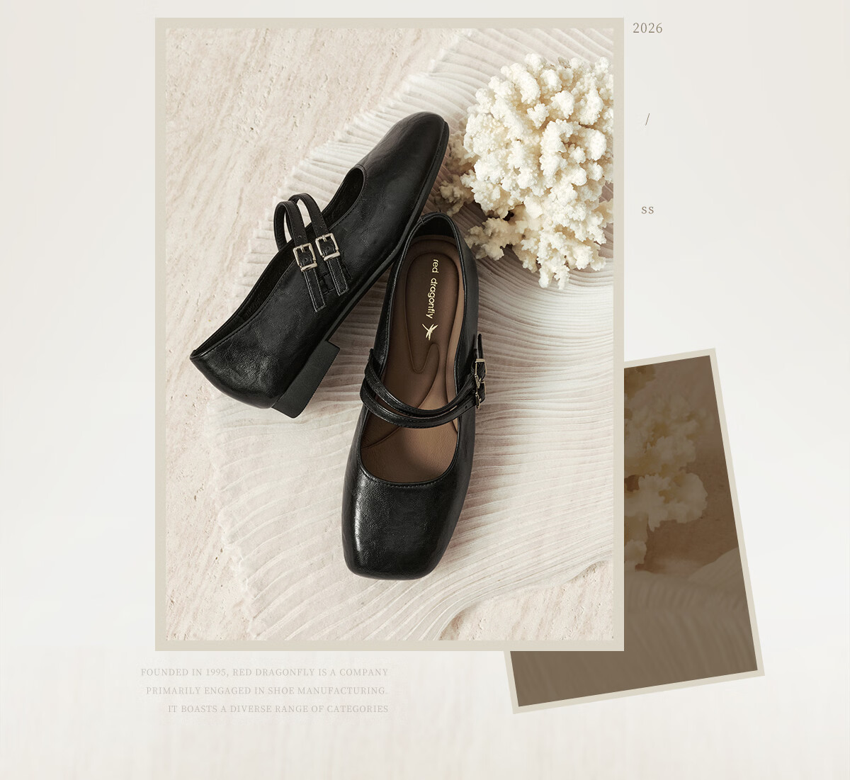 Red Dragonfly Mary Jane Shoes 26 Spring Women's French Square Toe Commuter Flats Comfortable Low Heel Leather Shoes WTB16049 Black Size 35 3