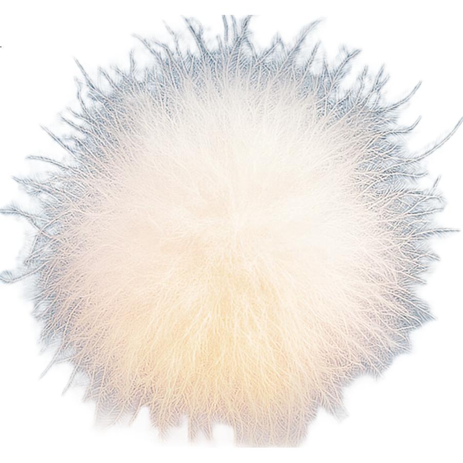 White Image 2