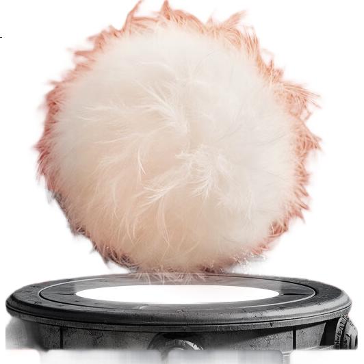 White Image 2