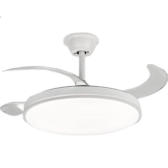 White Image 1