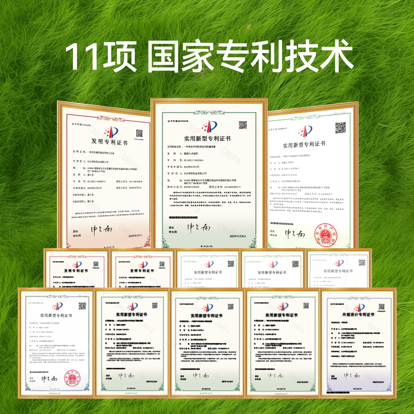 卓牧（JOMILK）有机纯羊奶粉400g 100%生羊乳 无蔗糖高钙中老年成人学生奶粉送礼