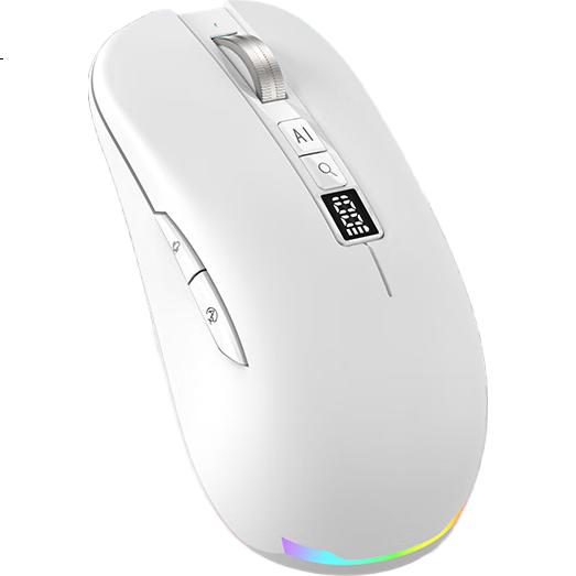 White Image 1