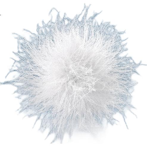 White Image 2