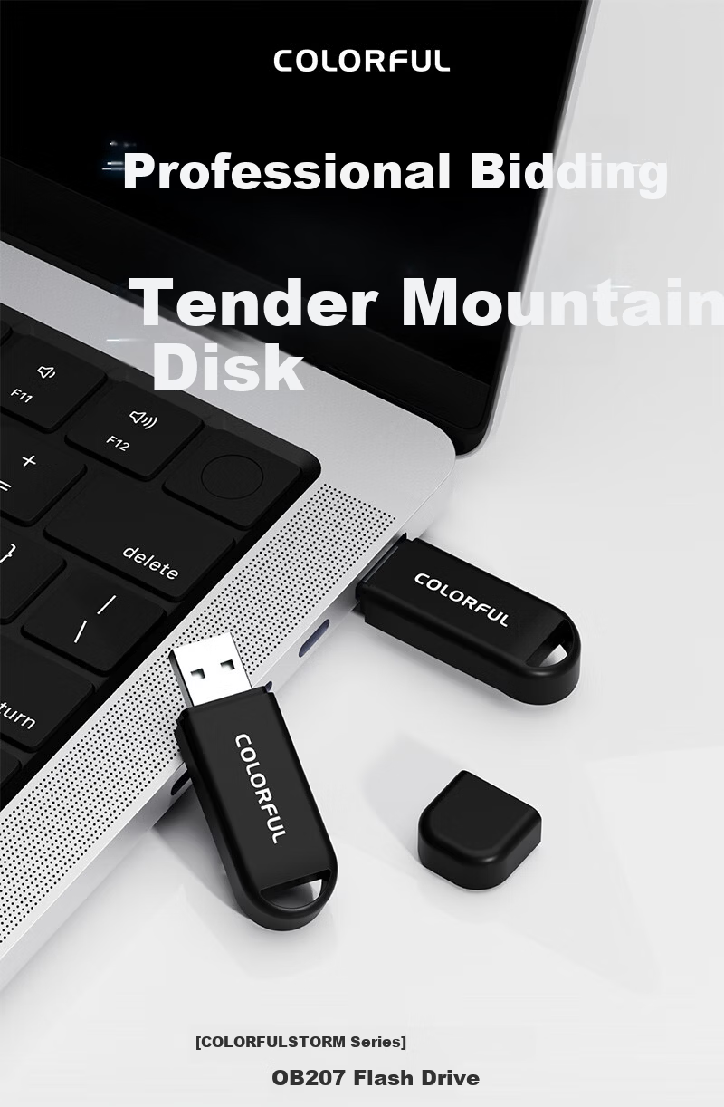 Colorful USB Flash Drive 64GB Plug and Play USB 2.0 Office Bare Drive Portable Car Computer USB 64GB TB201 1