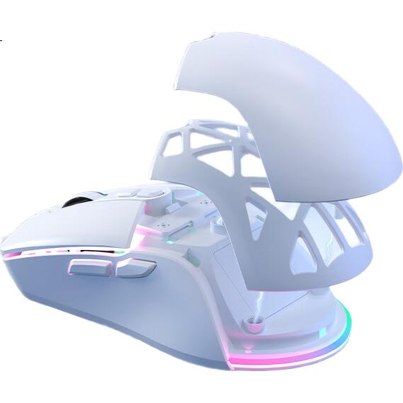 White Image 1