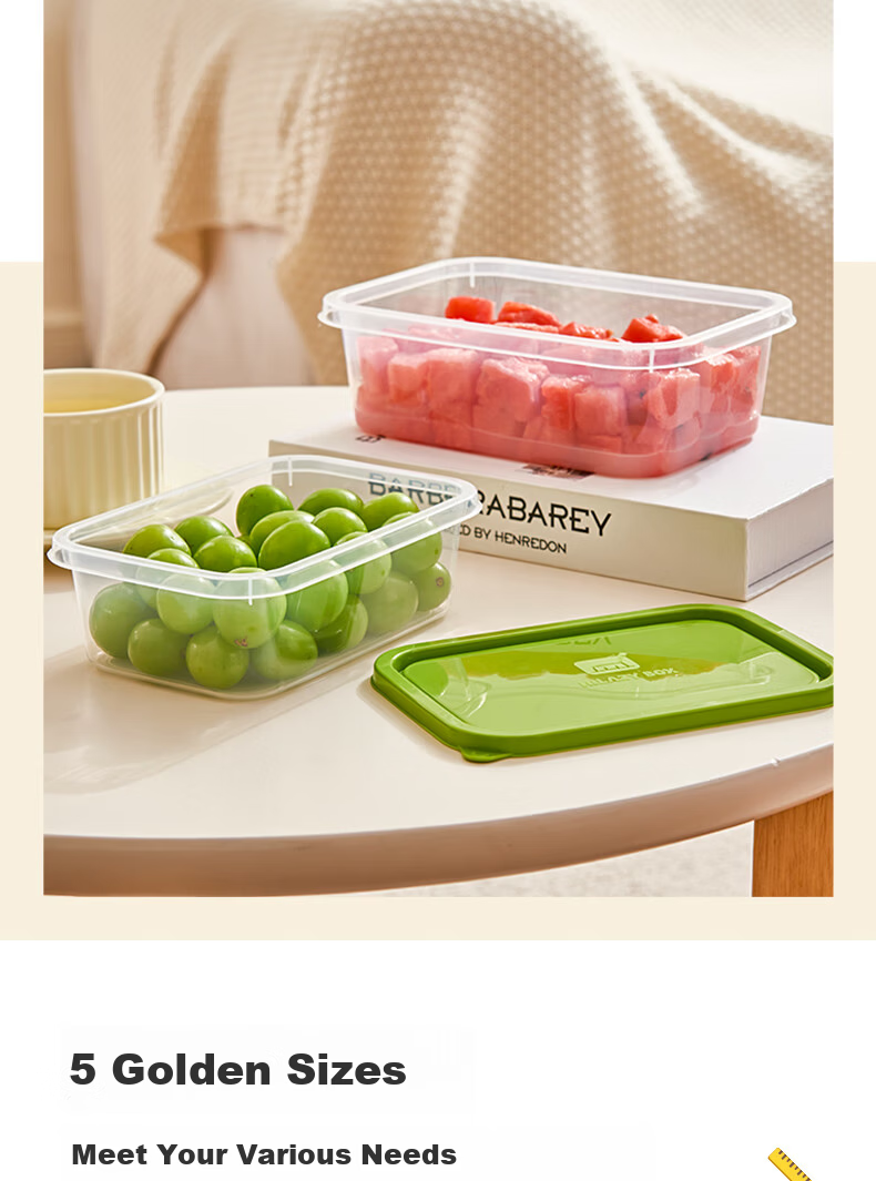 Fresh Life Disposable Biodegradable Eco-friendly Round Takeout Food Containers Light Meal Boxes 800mL*4 Sets 5