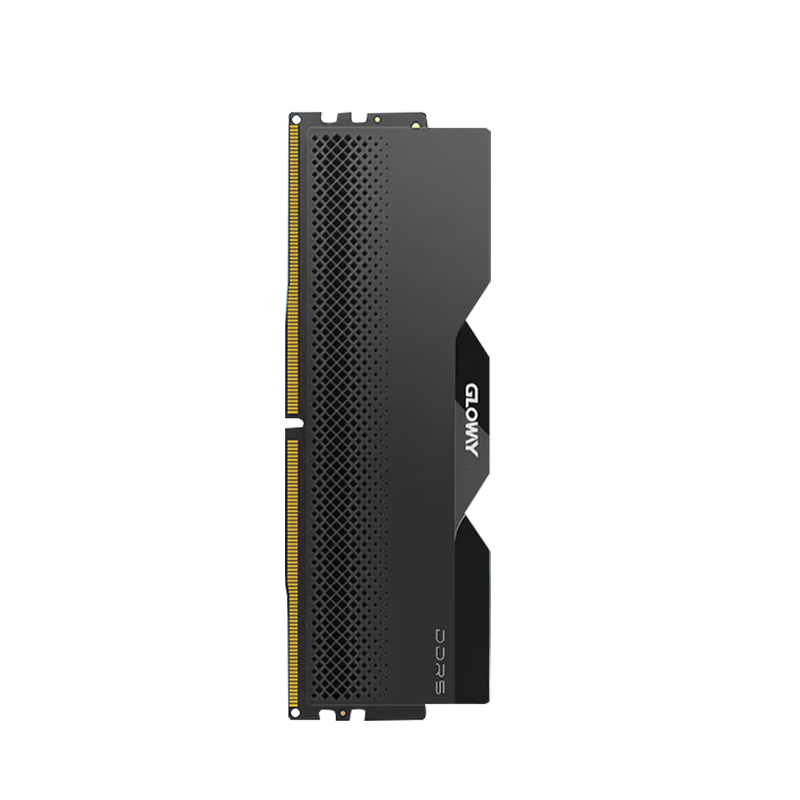 Gloway 16GB DDR5 6000 Desktop RAM Dragon Warrior Heat Spreader Micron Chips CL38 Starry Black