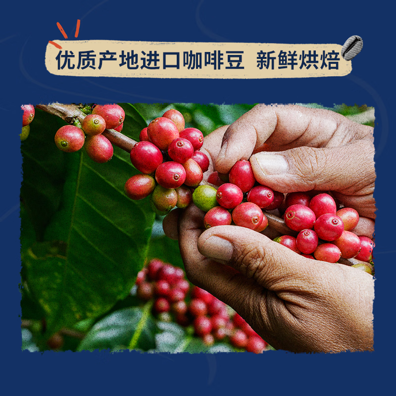 拉瓦萨（LAVAZZA）经典意式咖啡豆商用咖啡CREMA E AROMA意式醇香咖啡豆1kg新鲜烘焙