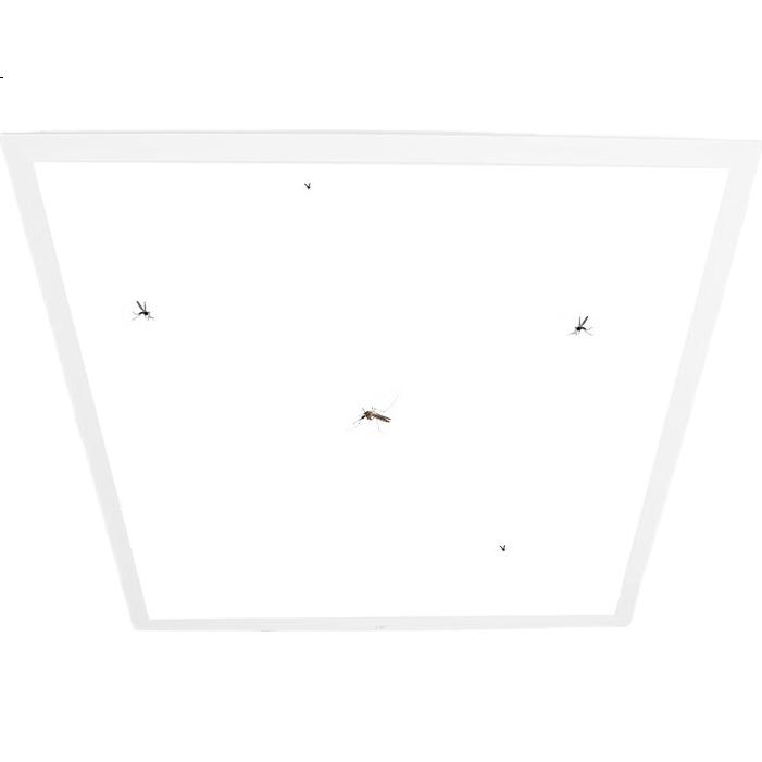 White Image 3