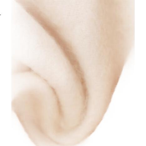 White Image 3