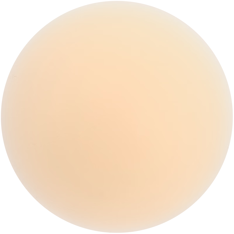 Vcn Pink Skin Patch - 1 Pair [04# Wheat Skin], Wedding Dress Invisible Bra for Small Chest, Anti-Nipple Show, Summer