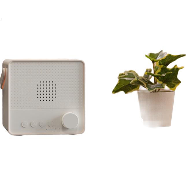 White Image 1