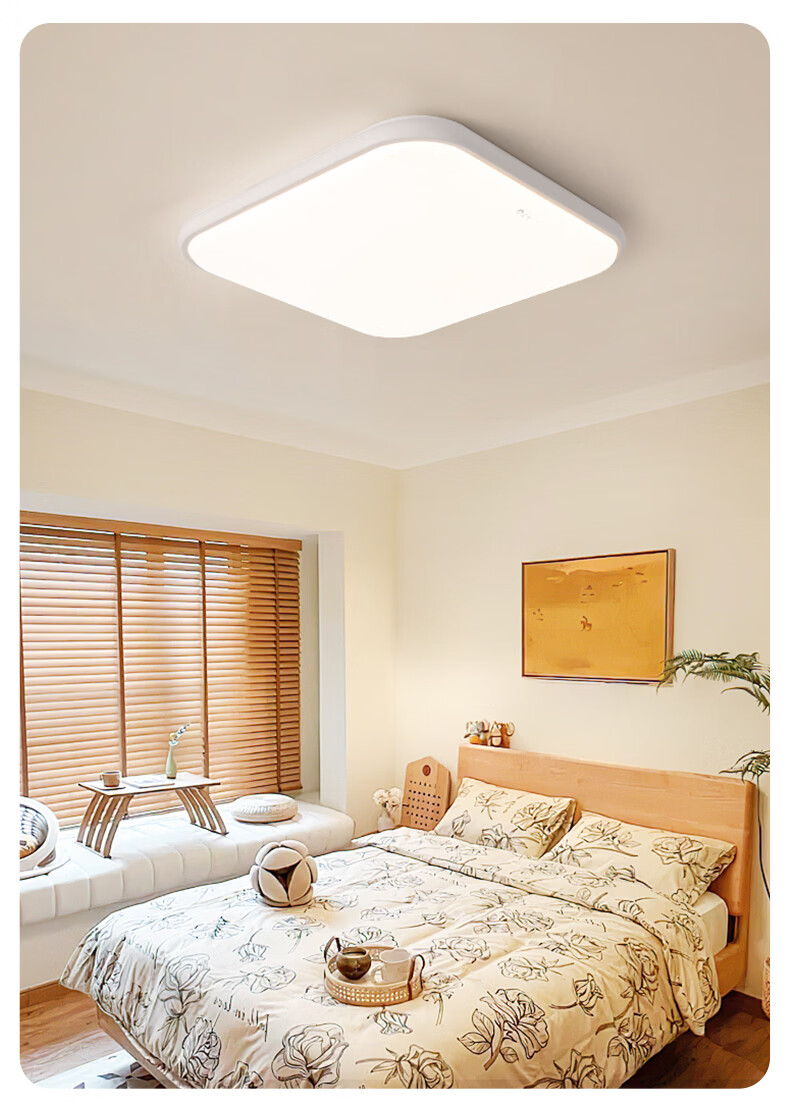 YANKON LED Ceiling Light for Living Room And Bedroom, Full Spectrum Natural Light, Smart 48W 12