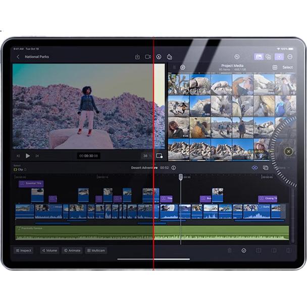 Защитная пленка для iPad Pro