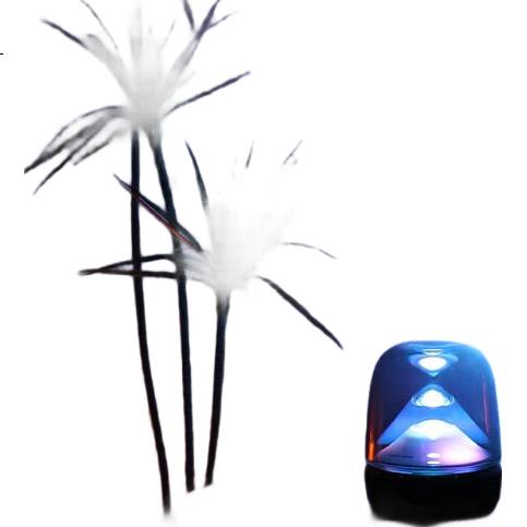 White Image 1