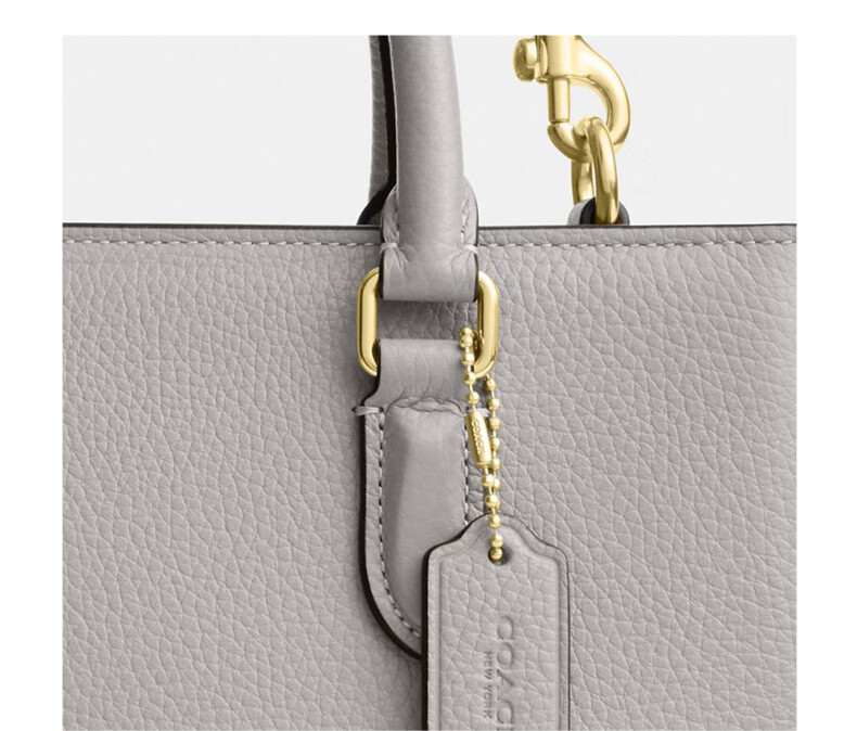 COACH Women's MAGGIE Small Shoulder Handbag Crossbody Bag CY668 Gift 13