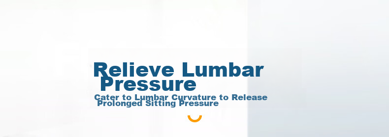Back2 Lumbar Support Cushion for Office, Ergonomic Back Pillow, Long-Sitting Aid, Car Seat Cushion, Waist Pillow 20