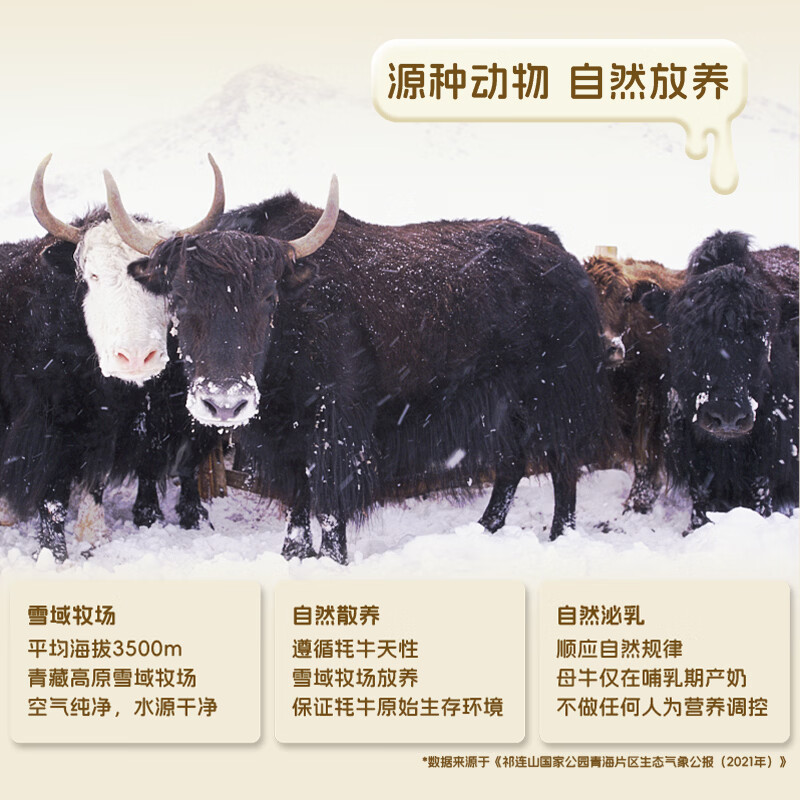 青藏祁莲酸奶 祁连山原味酸奶 200g*12盒 新年送礼礼盒