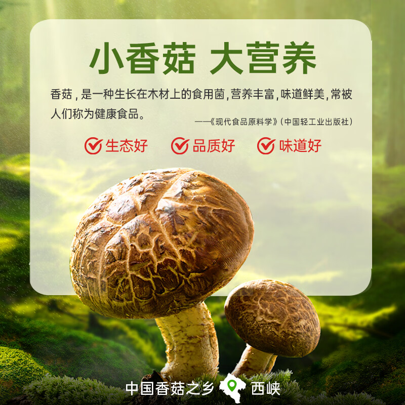 仲景 劲道鲜辣牛肉酱230g 招牌拌饭拌面夹馍下饭调味酱料