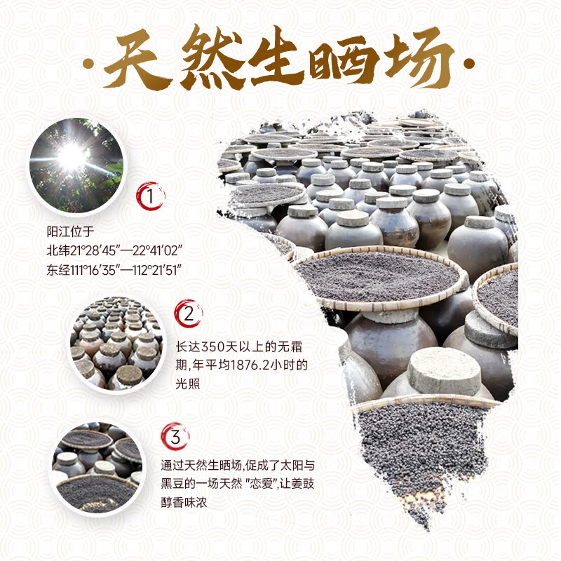 珠江桥牌阳江姜豉豆豉300g 0防腐剂0着色剂广东特产阳江豆豉 中华老字号