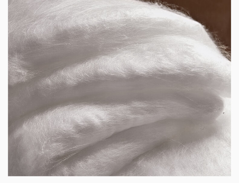 Silk Empress [Lanyu] 100% Premium Mulberry Silk Quilt Core Four Seasons Double-Layer Silk 2+4 Jin 220*240cm [White] 9