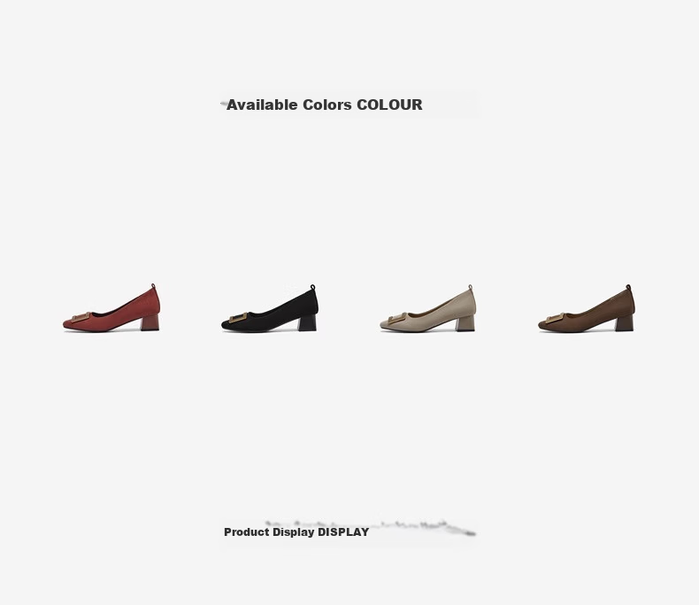 BASTO 26 Spring Fabric Women's Shoes Simple Commuter Block Heel Square Toe Flats B5288AQ6 Coffee Color 37 4