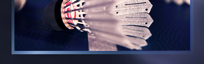 VICTOR NCS MAX 77 Speed New Carbon Feather Shuttlecock Competition Grade Indoor Outdoor Durable Stable 7