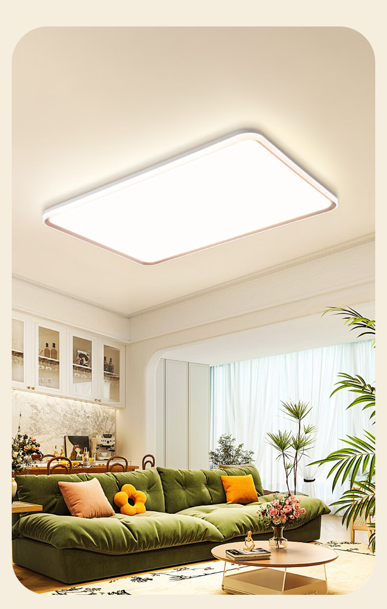 YANKON LED Ceiling Light Full Spectrum Living Room Light Smart Stepless Dimming 160W [All-Inclusive Price] 23