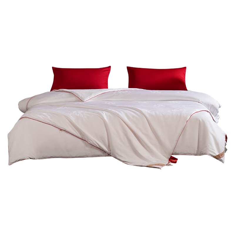 SILKUEEN [Liyun] 100% Premium Mulberry Silk Comforter Core, All-Season Mother-Son Silk, 2 Jin Weight, 200*230cm [White]