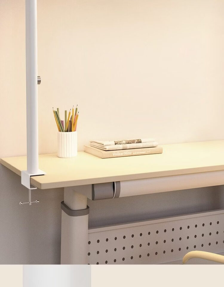 Laberta Wall-Mounted Long Eye-Protection Desk Lamp Full-Spectrum Children's Study Table Lamp Clip-On Anti-Myopia 13