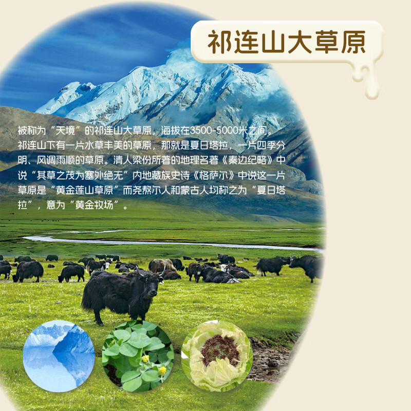 青藏祁莲酸奶 祁连山原味酸奶 200g*12盒 新年送礼礼盒