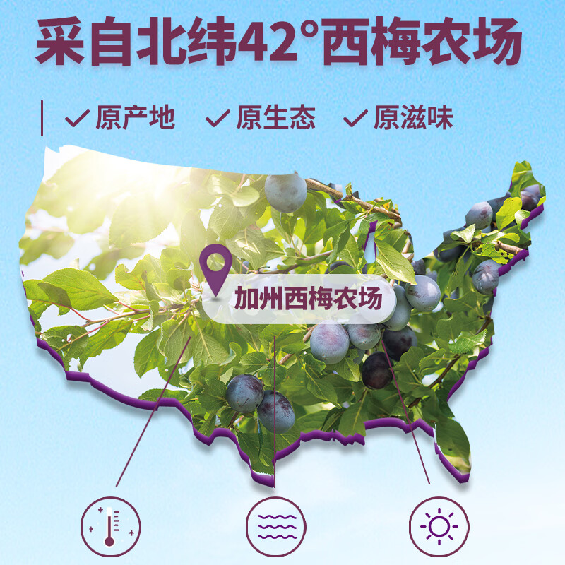 溜溜梅西梅150g膳食纤维西梅干孕妇解馋办公室健康休闲零食新老包装随机