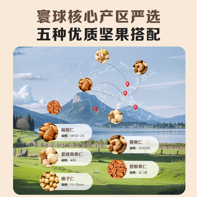 1号会员店盐焗混合坚果 450g 每日坚果干果腰果碧根果榛子零食送礼