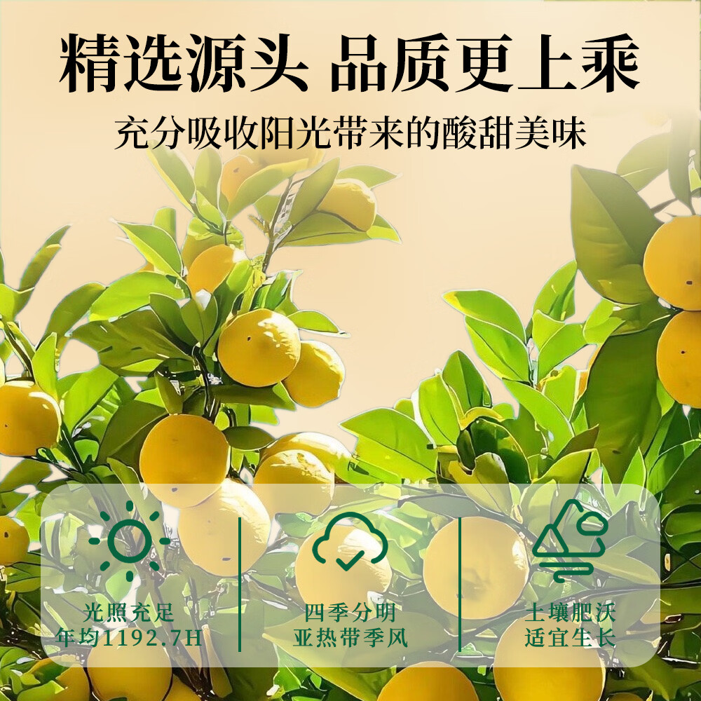 福茗源花果茶 柠檬片 特级品质纯柠檬干片原味柠檬茶泡水喝袋装250g