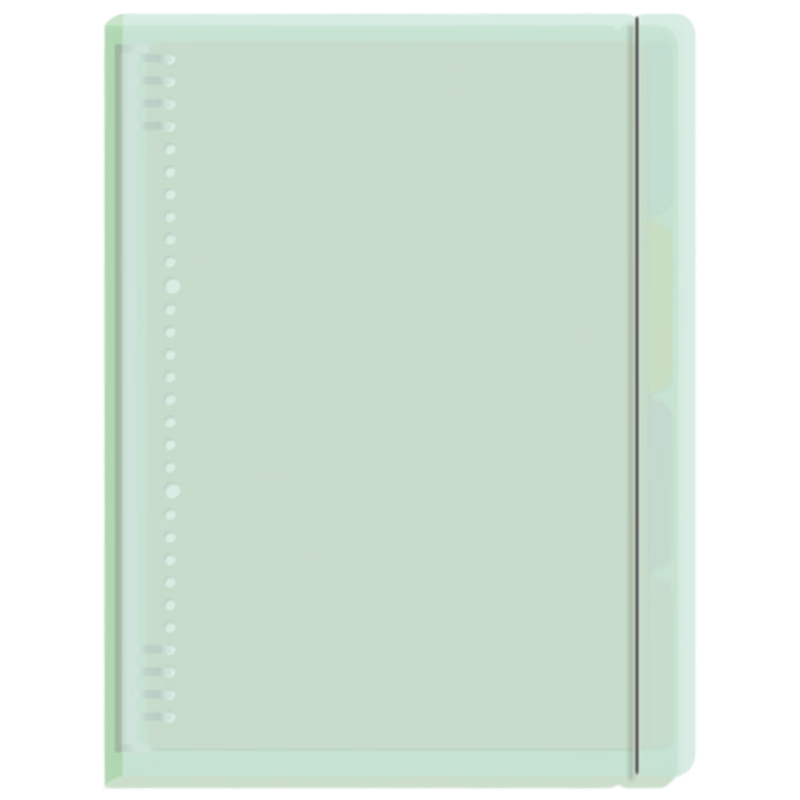 M&G Stationery A4/60-Sheet Loose-Leaf Notebook, 8-Hole Detachable Lined Refill, Green, Exam Essential