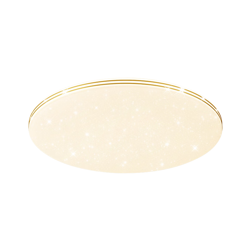Daier LED Ceiling Light, Modern And Simple Design, Eye-Protecting, for Study Room And Bedroom, Zhongshan Lighting Fixture, Starry Sky Style, Luxury Design, Installation Included