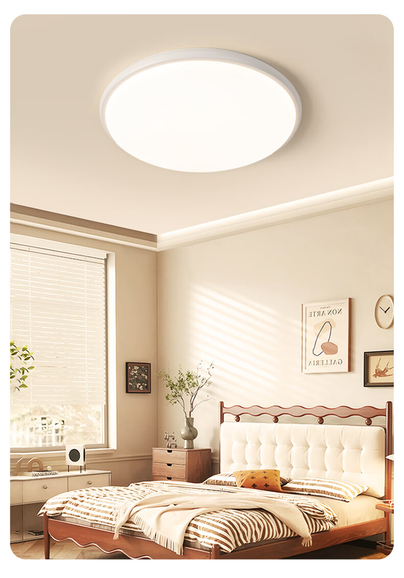 YANKON LED Ceiling Light for Living Room And Bedroom, Full Spectrum Natural Light, Smart 48W 13