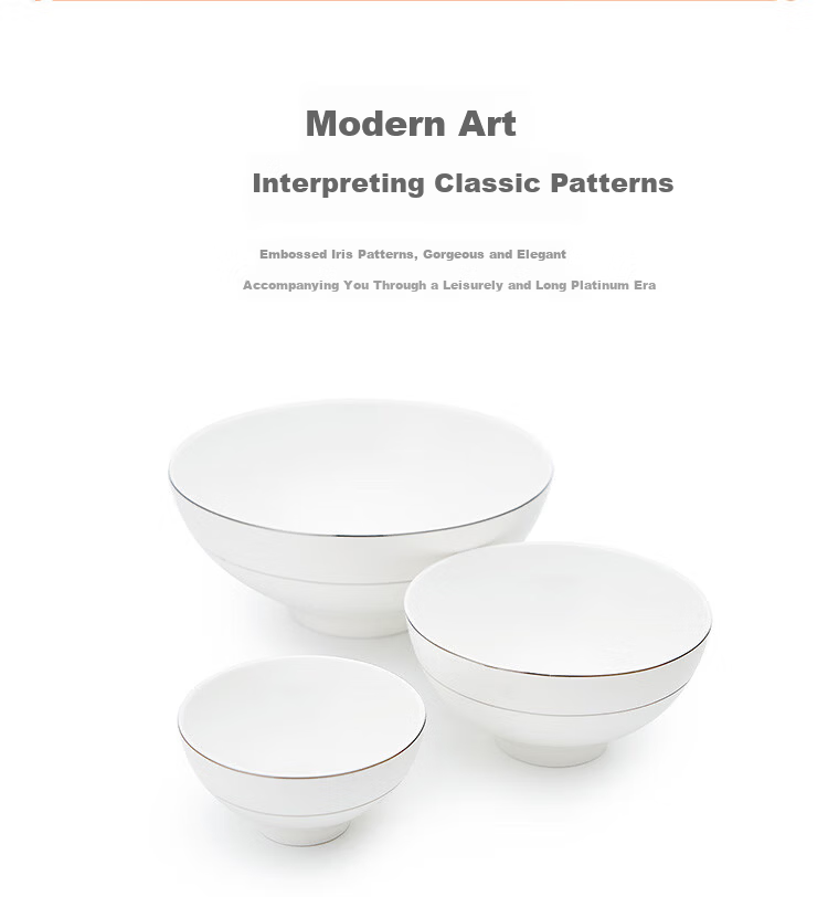 Magoront Bone China Tableware Set Luxury Home Gift Box Platinum Age 32-Piece for 6 People 6